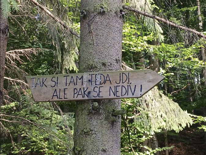 Strom v lese, na něm cedule se šipkou a nápis Tak si tam teda jdi, ale pak se nediv!